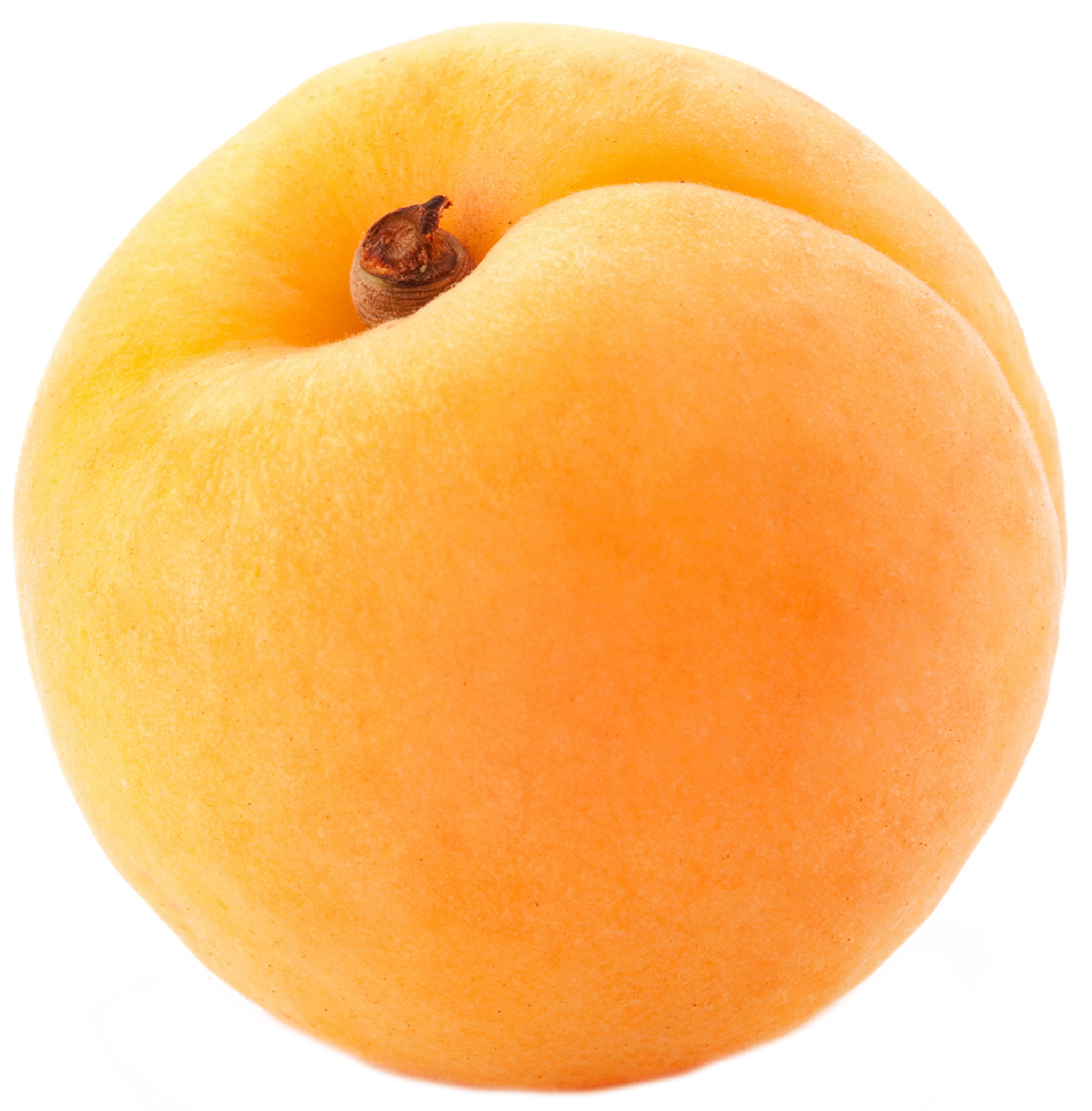 Abricot Fond PNG Image
