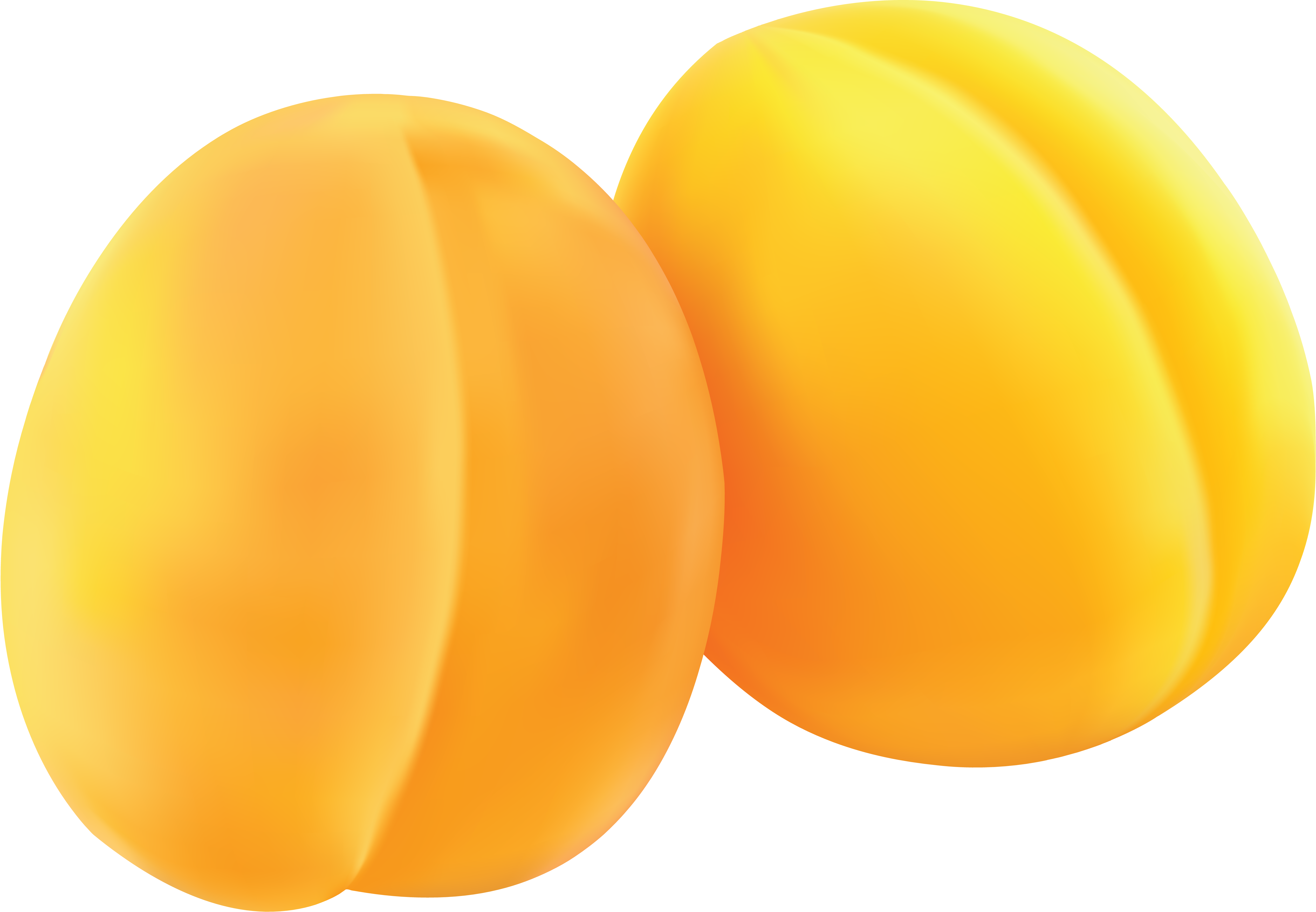 Abricot Transparentes PNG