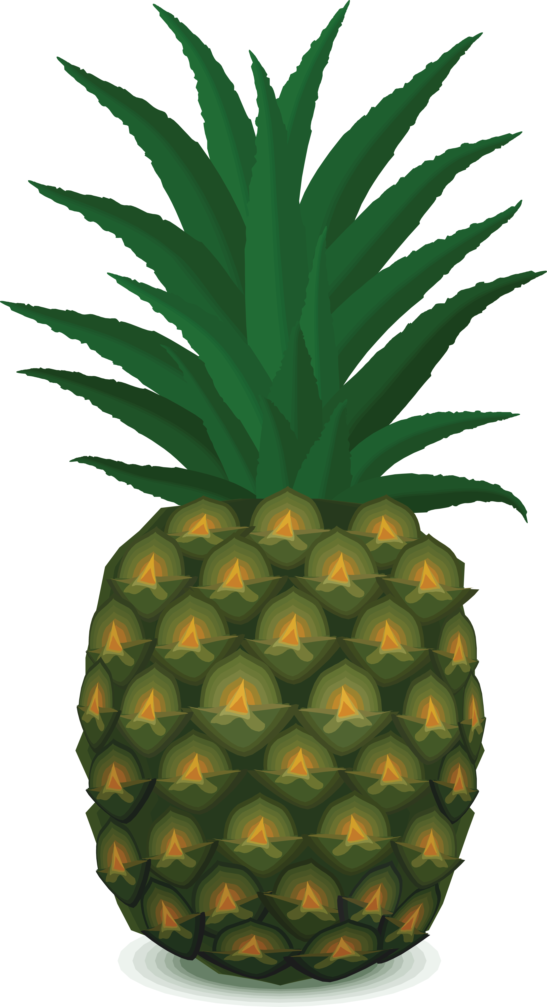 Ananas Fond PNG Image
