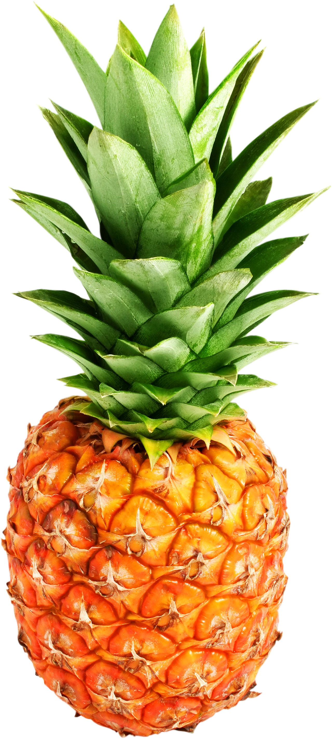 Ananas PNG Telecharger