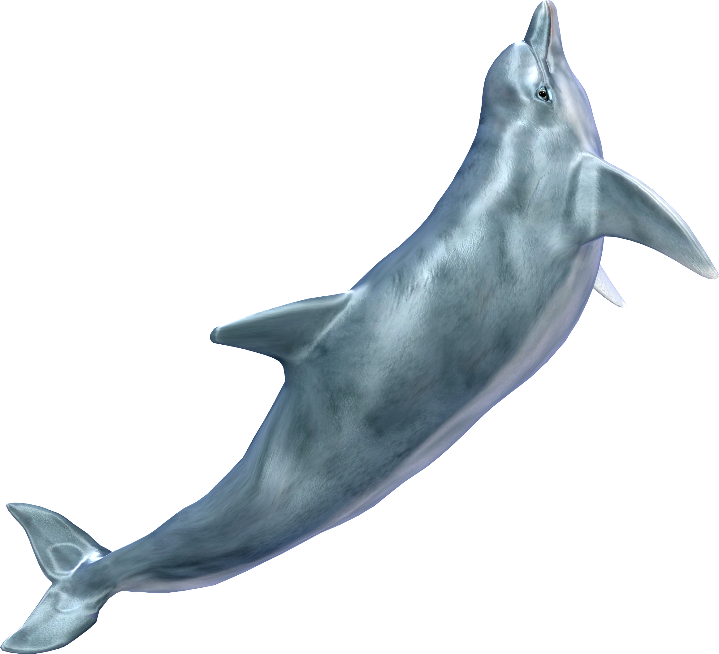 Baleine PNG Gratuit Telecharger