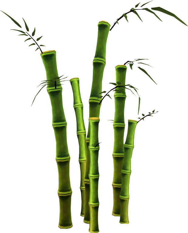 Bambou De Fichier Fond