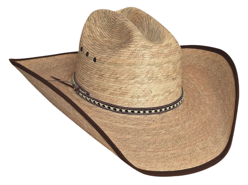 Chapeau De Cowboy PNG Photo Fond