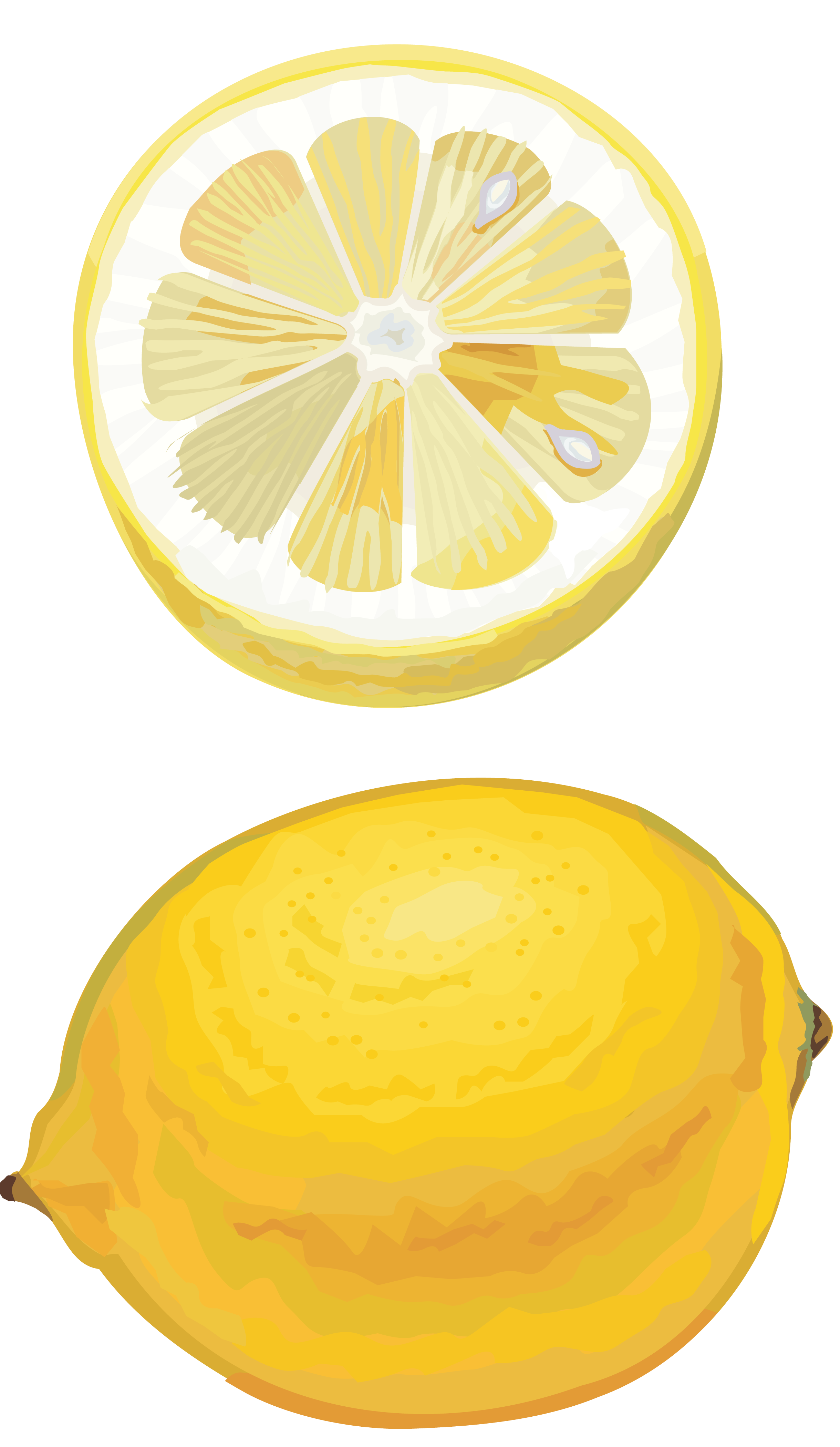 Citron PNG Fond Image