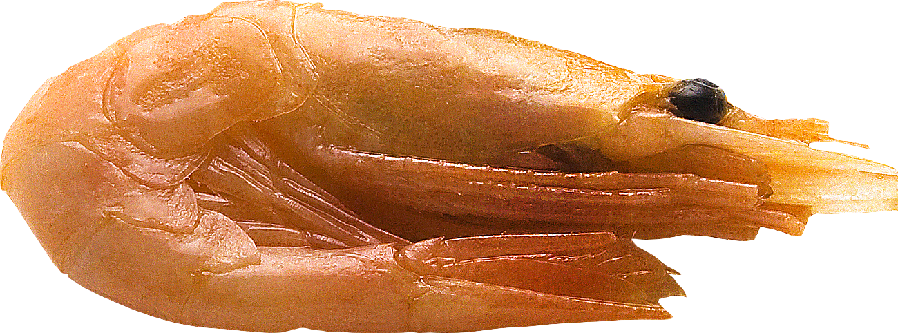Crevette Transparentes PNG