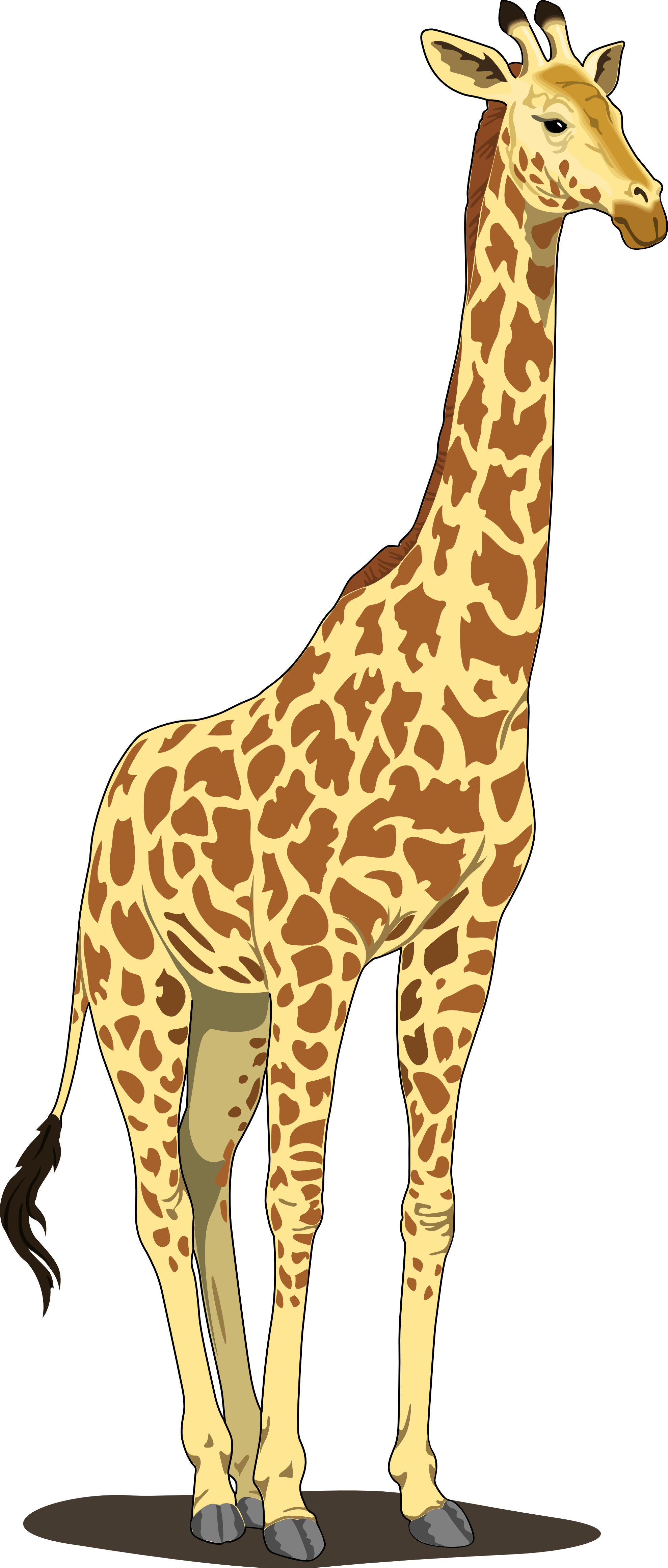 Girafe PNG Telecharger