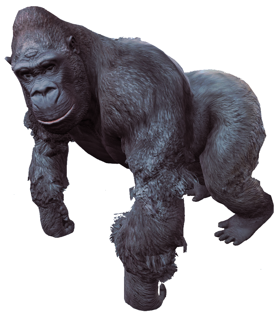 Gorille Fond PNG Image