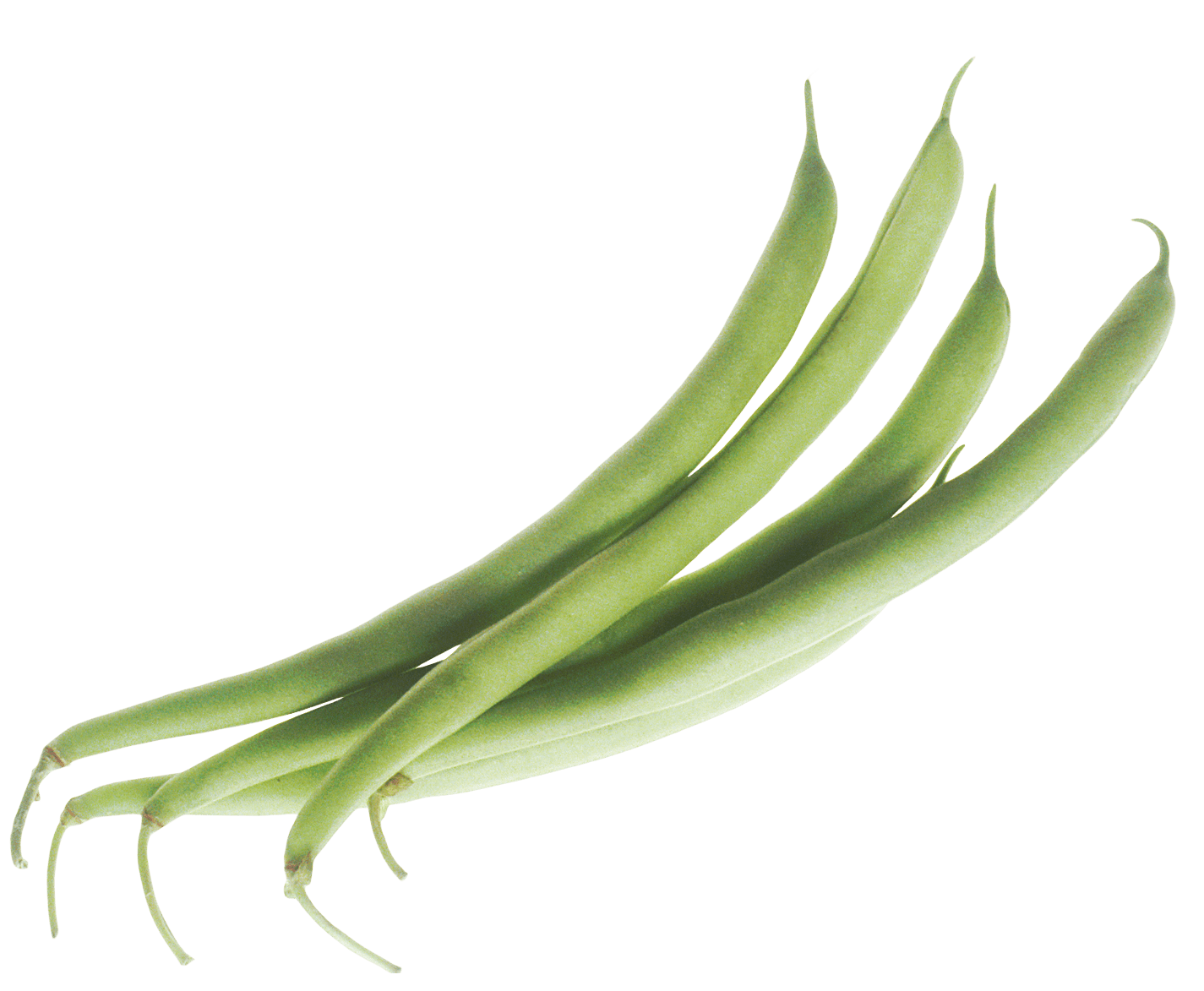 Haricot Vert PNG Fond Image