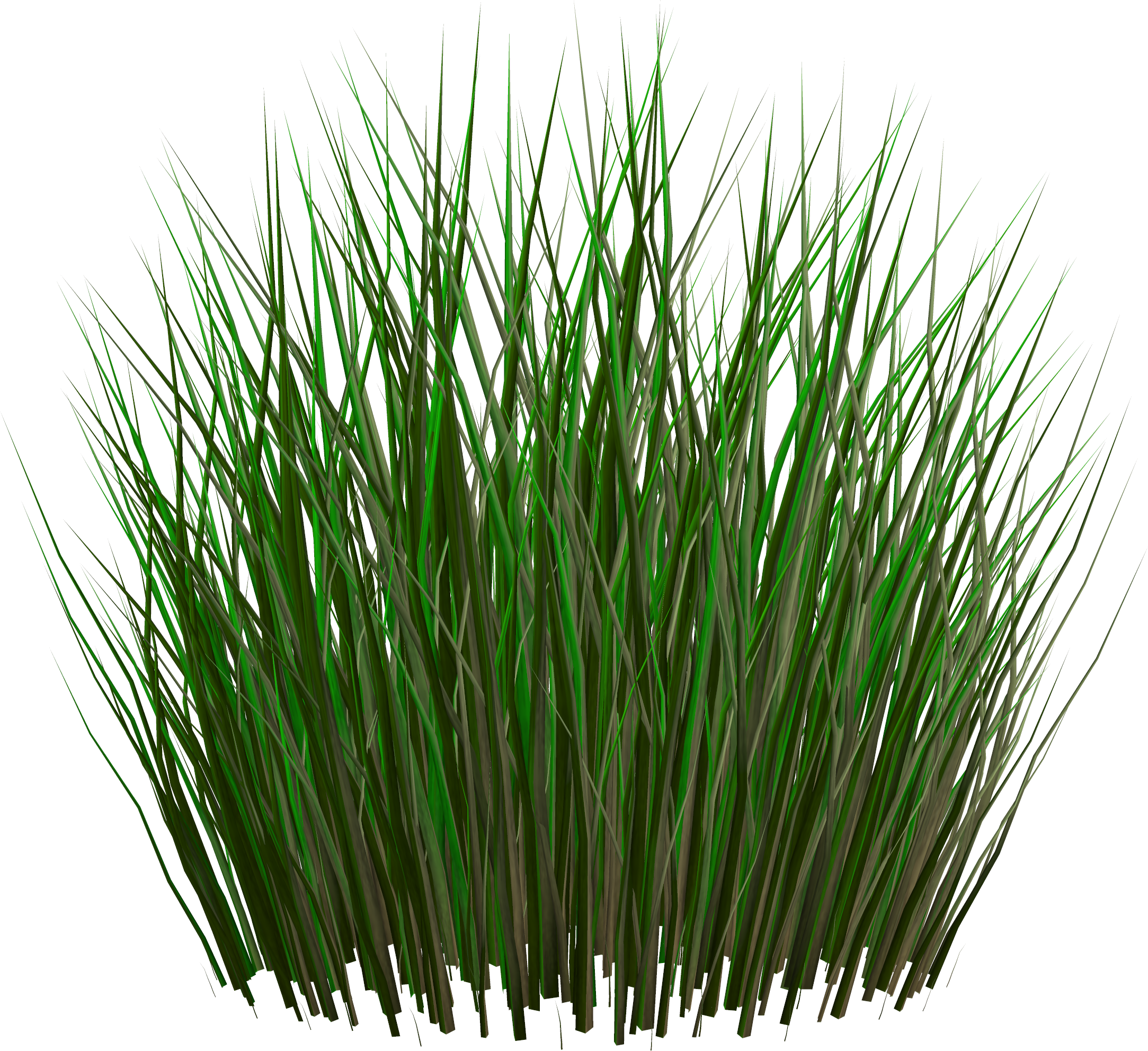 Herbe PNG Fond