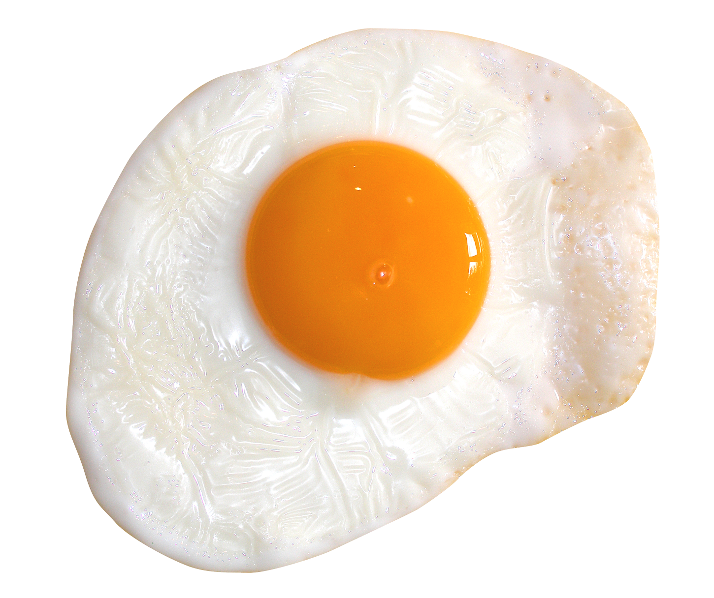 Oeuf PNG Photo Fond