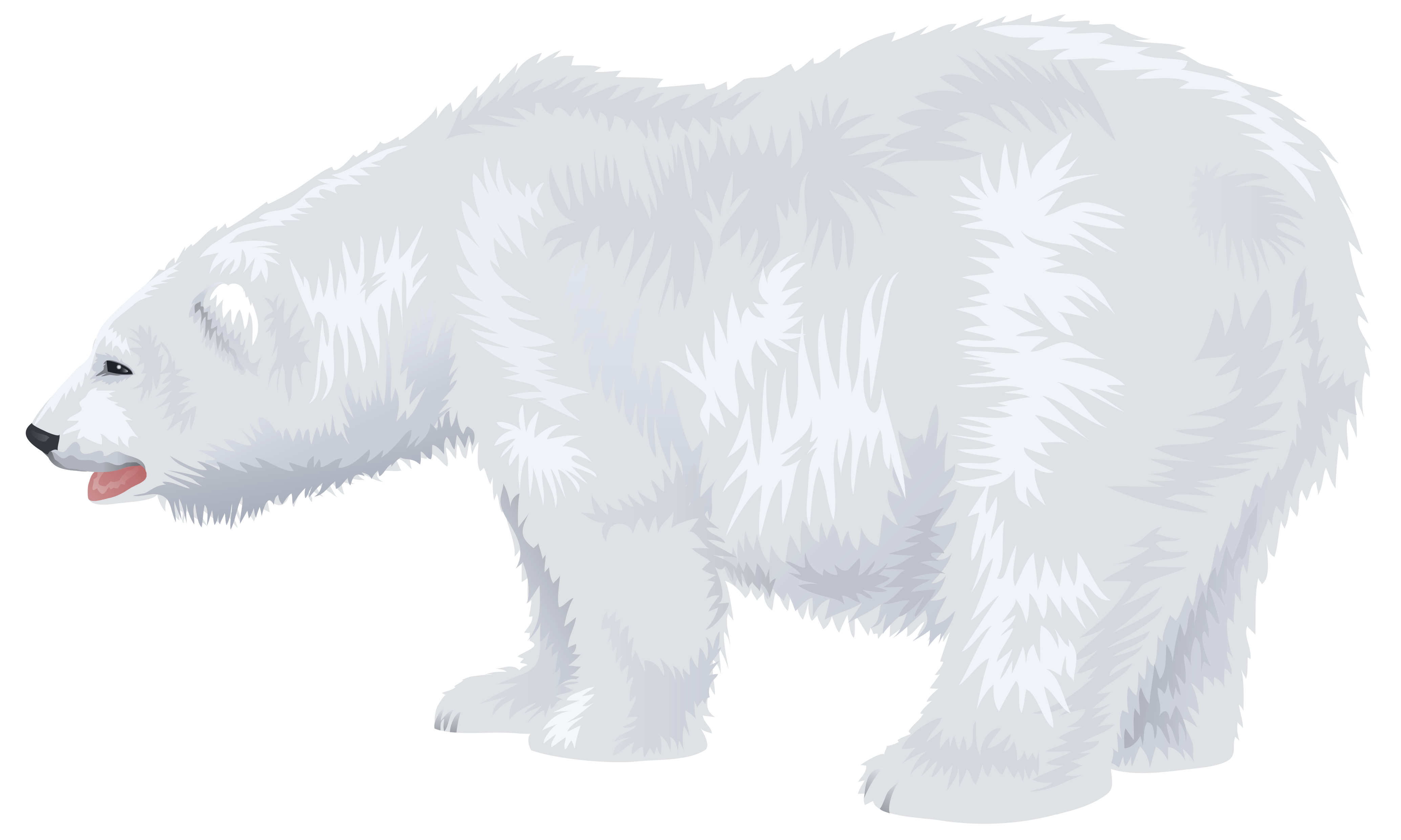 Ours Polaire PNG Fond