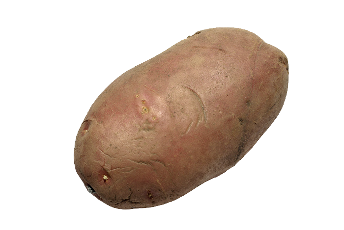Patate Fond PNG Image
