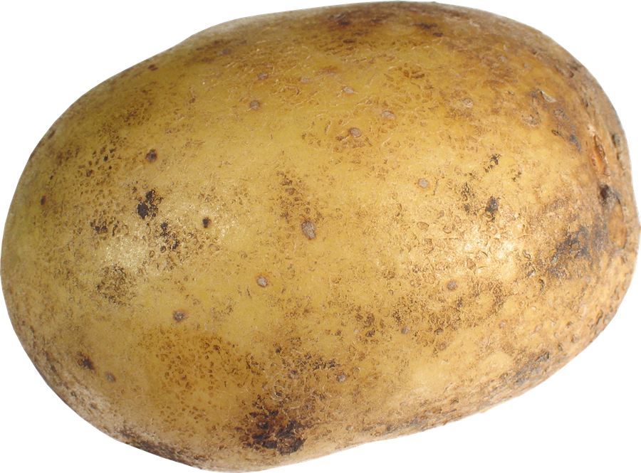 Patate PNG Fond Image