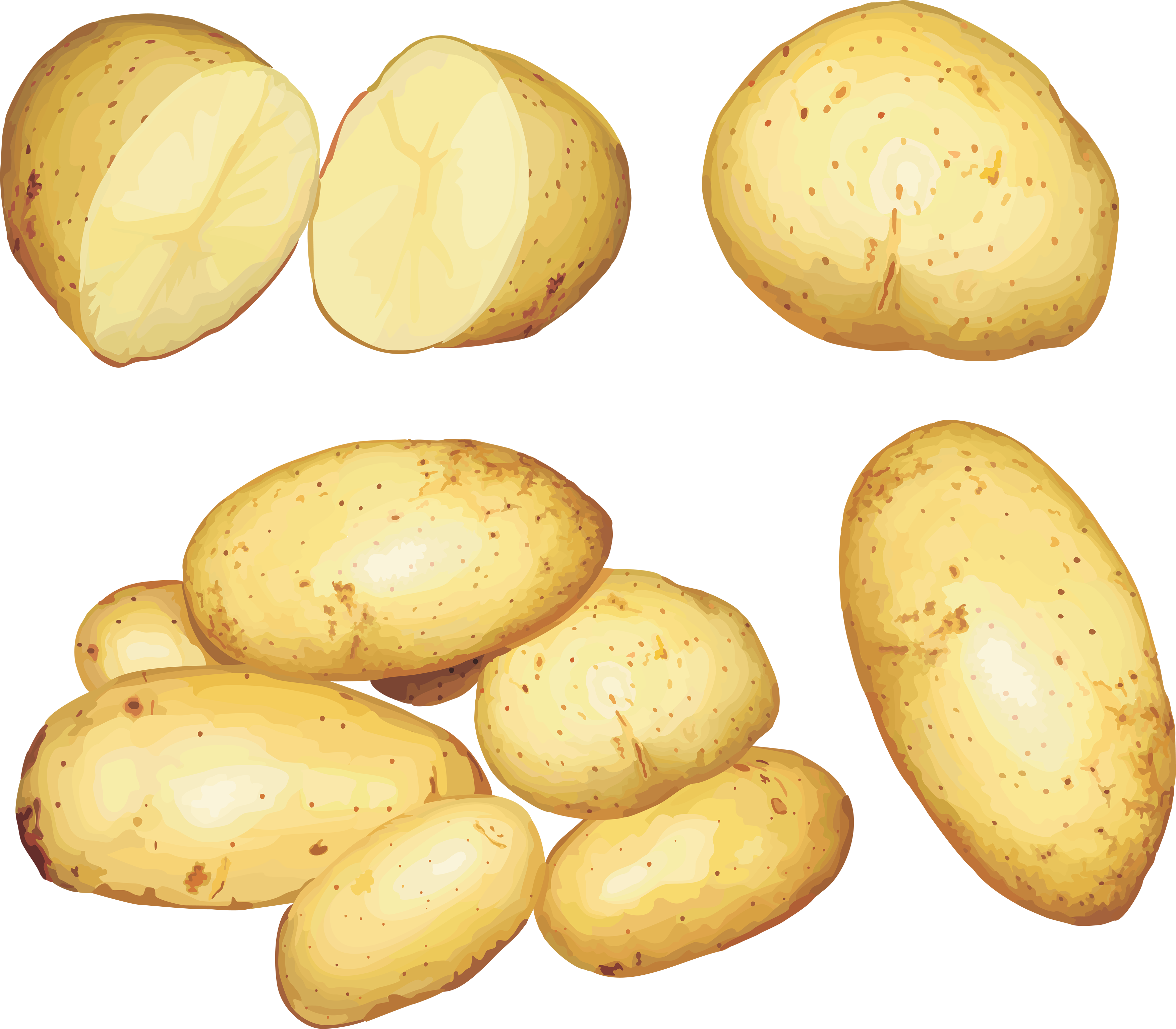 Patate PNG Fond Telecharger