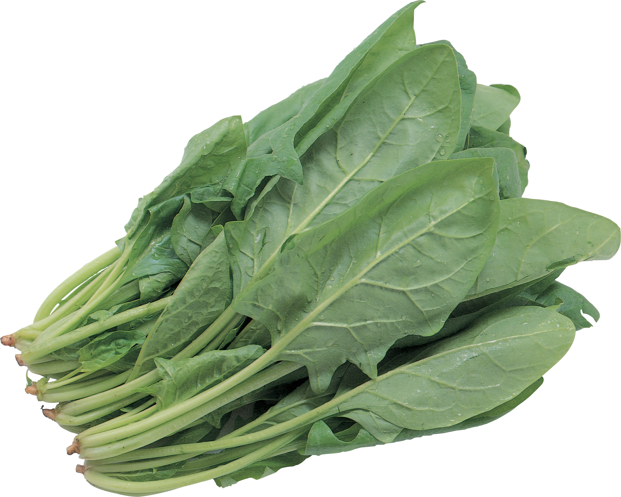Salade Fond PNG Image