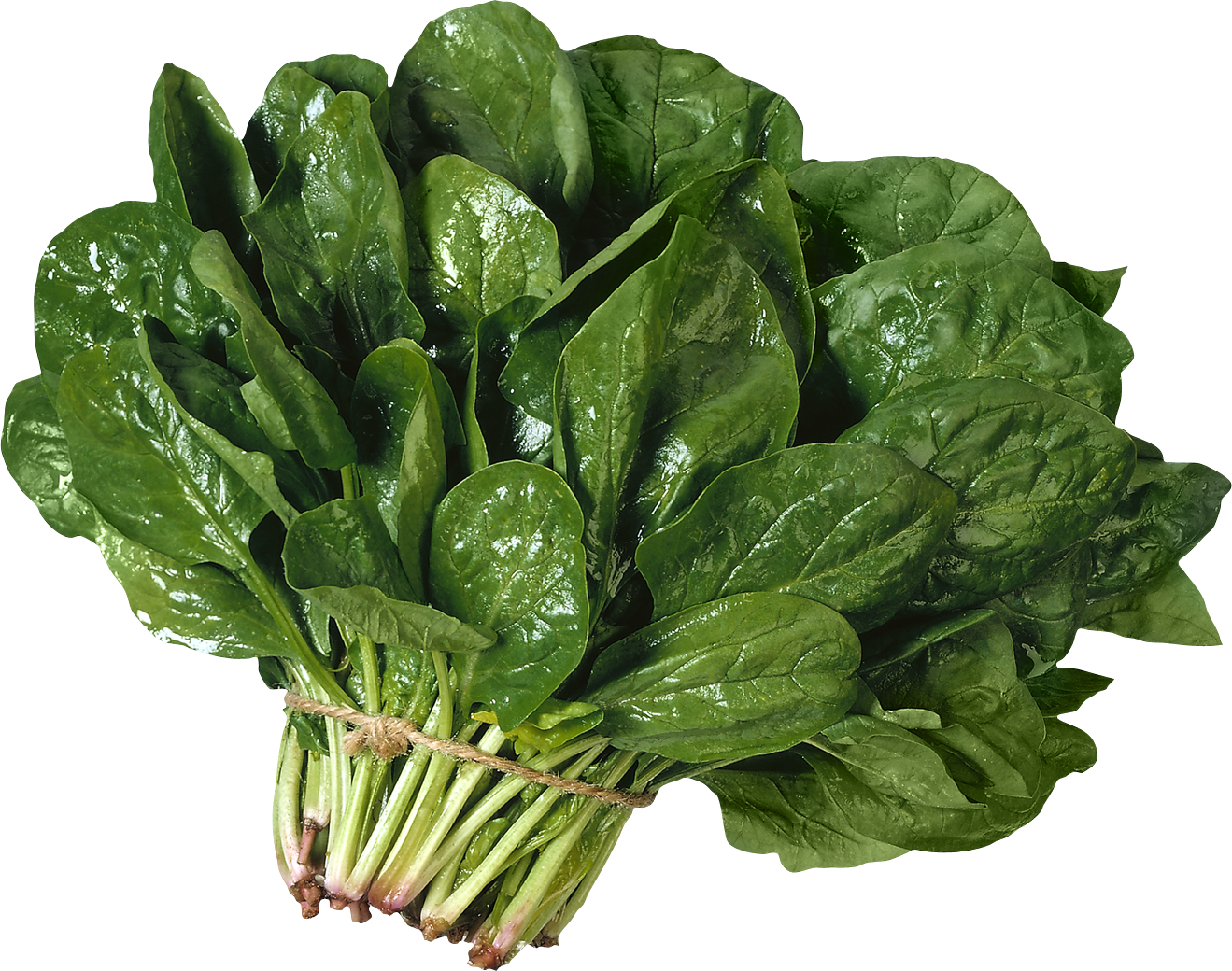 Salade Telecharger PNG