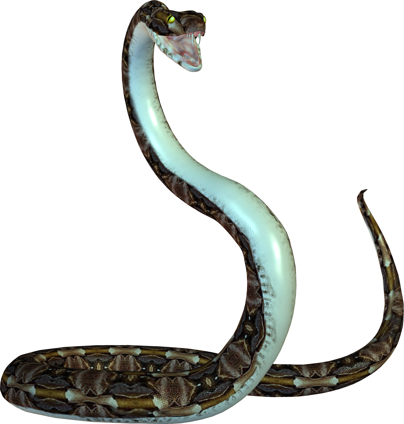 Serpent PNG Photo Fond