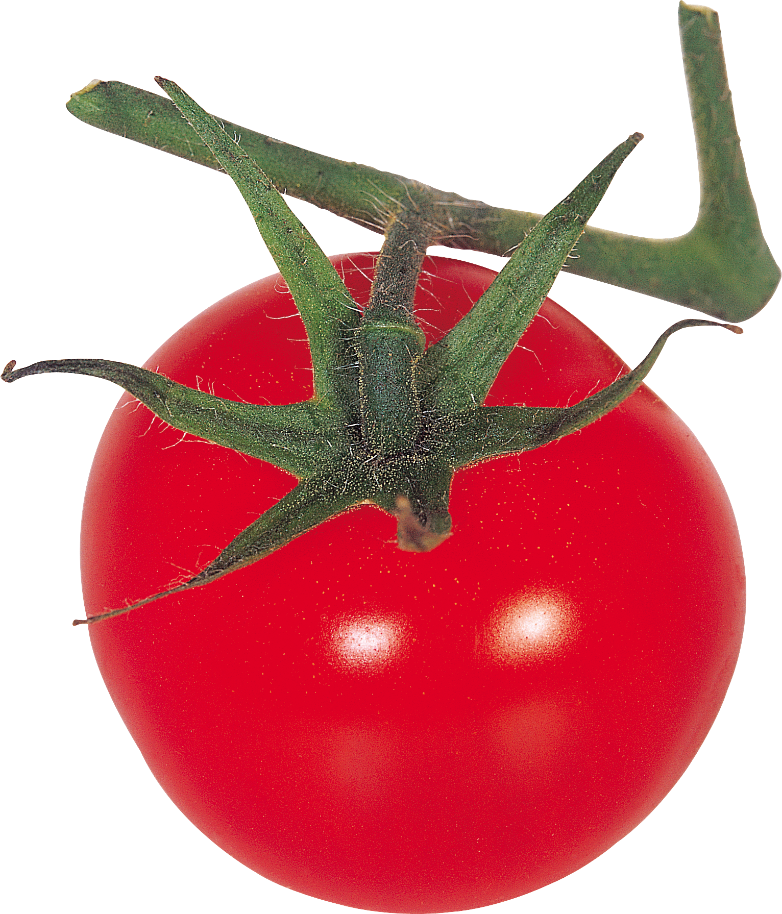 Tomate Fond PNG Image