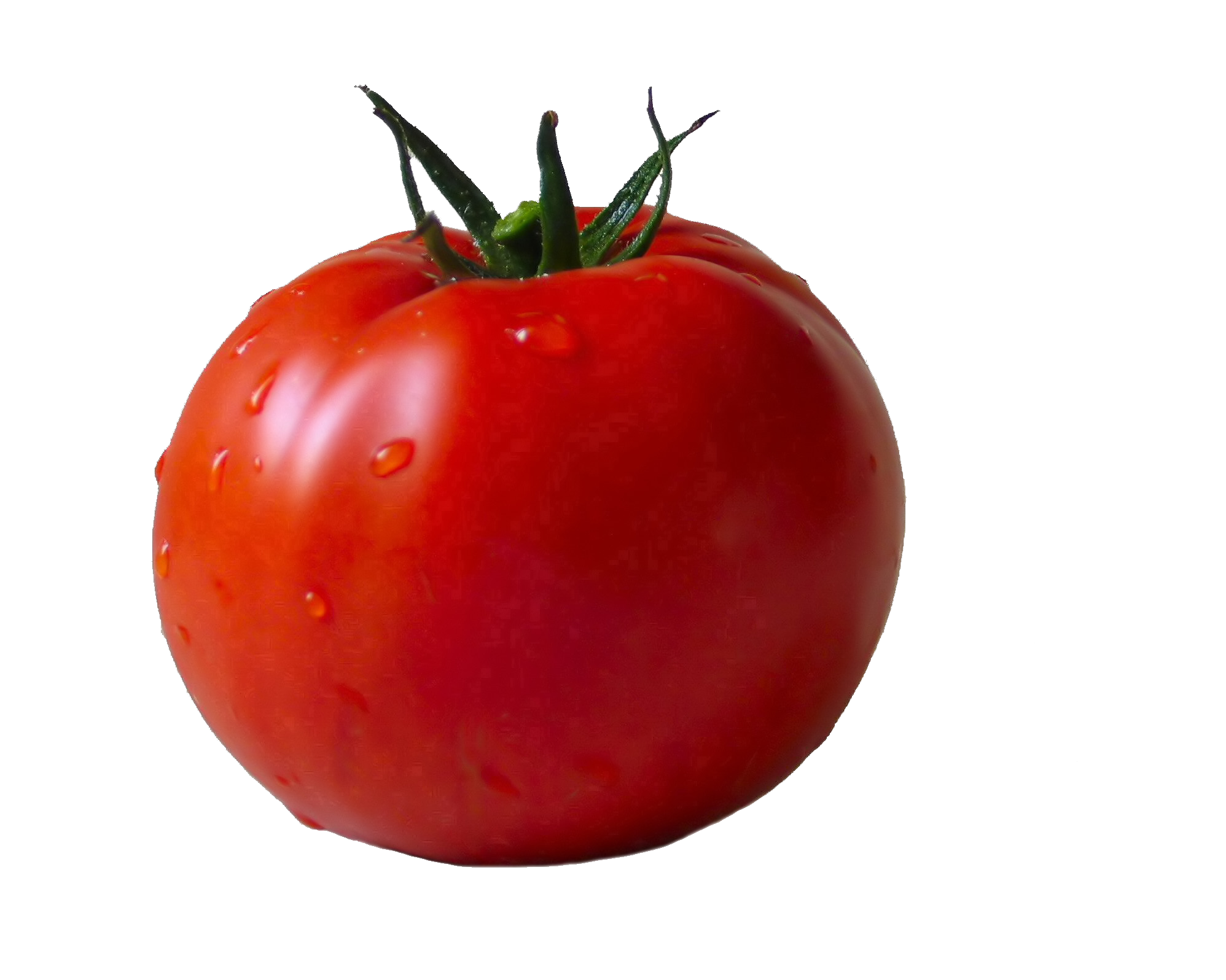 Tomate PNG Fond