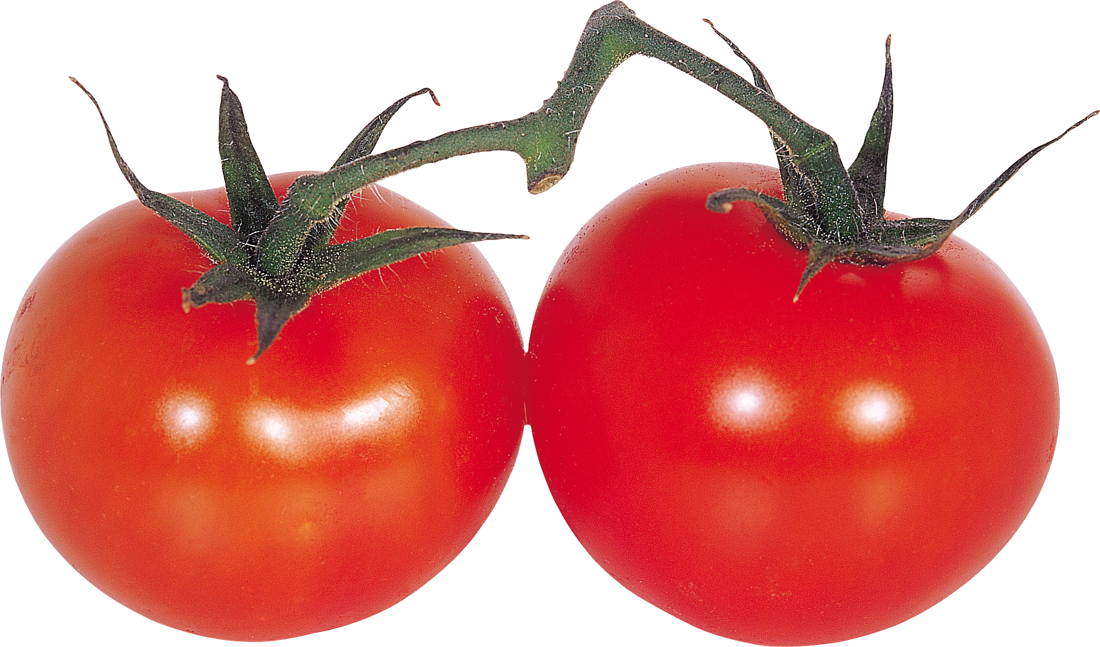 Tomate PNG Telecharger Fond