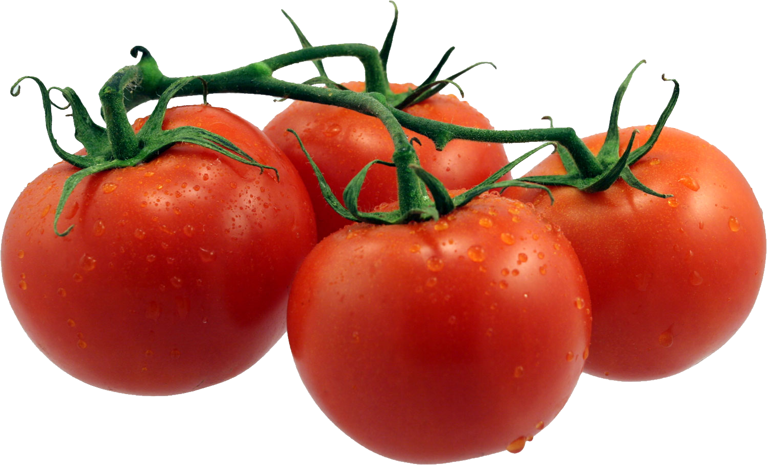 Tomate PNG Telecharger