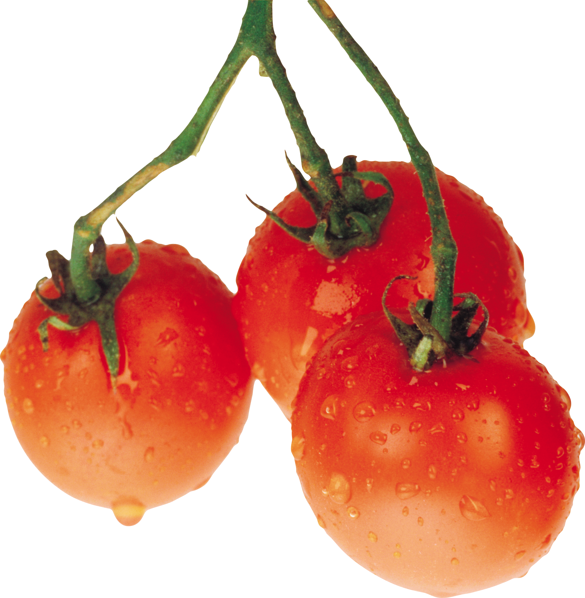 Tomate Telecharger PNG