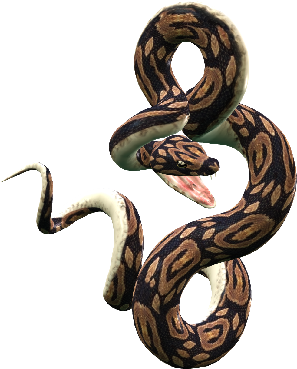 Venimeux Serpent PNG Fond De Fichier