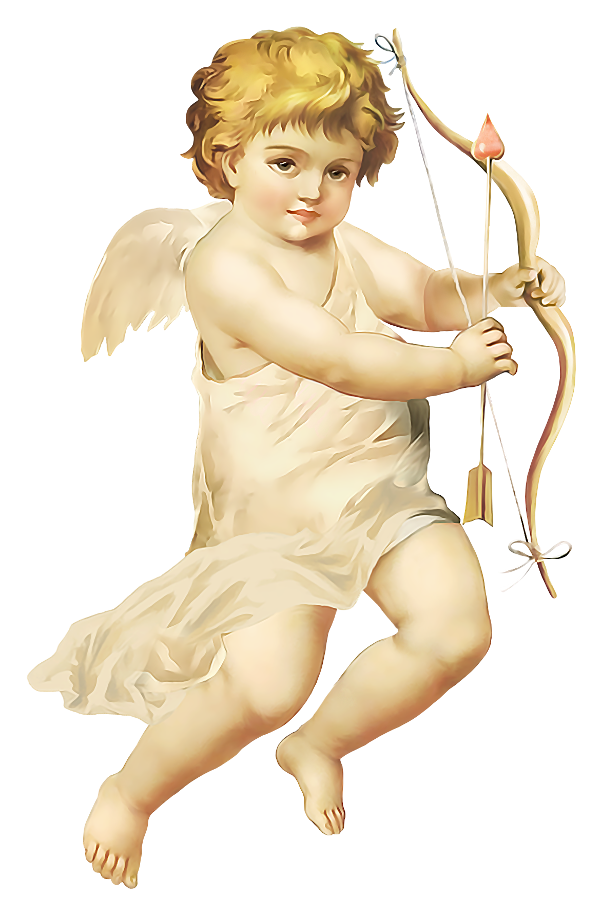 Angel Download Free PNG