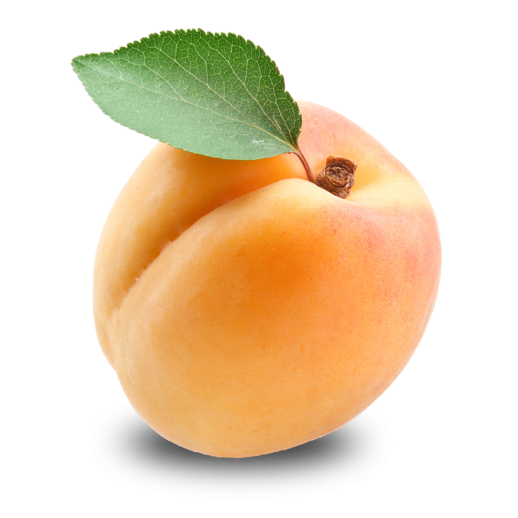 Apricot Download Free PNG