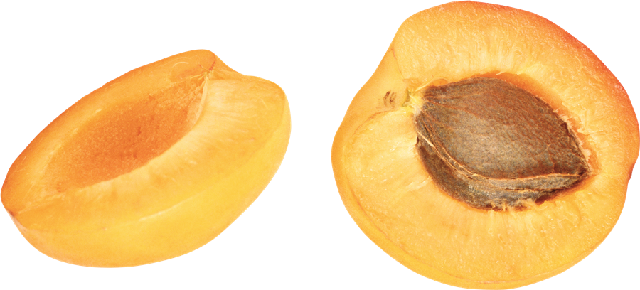 Apricot Transparent File