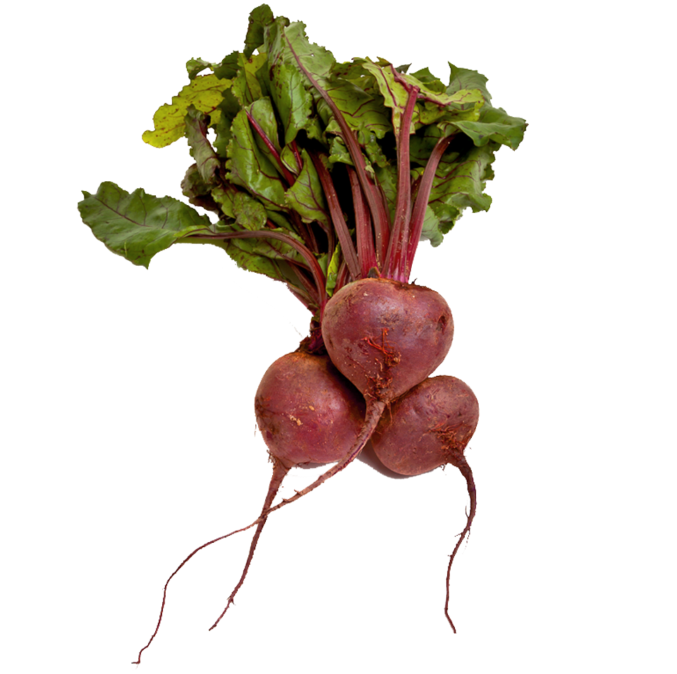Beet Background PNG Image