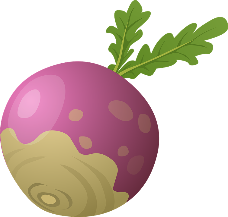Beet PNG Images HD