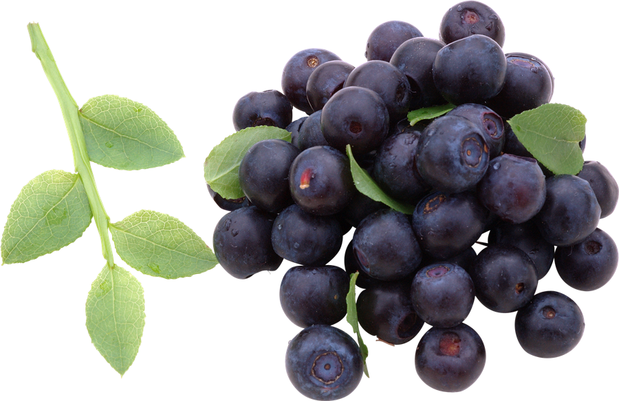 Blueberries Background PNG