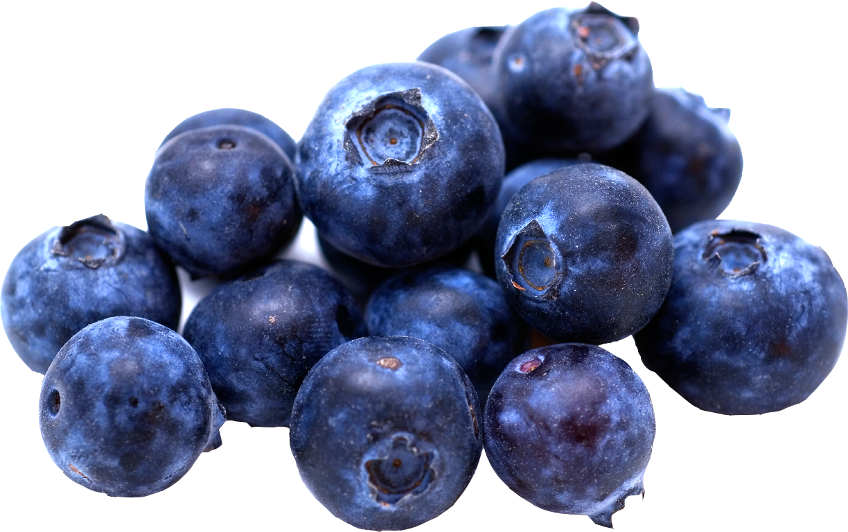 Blueberries Download Free PNG