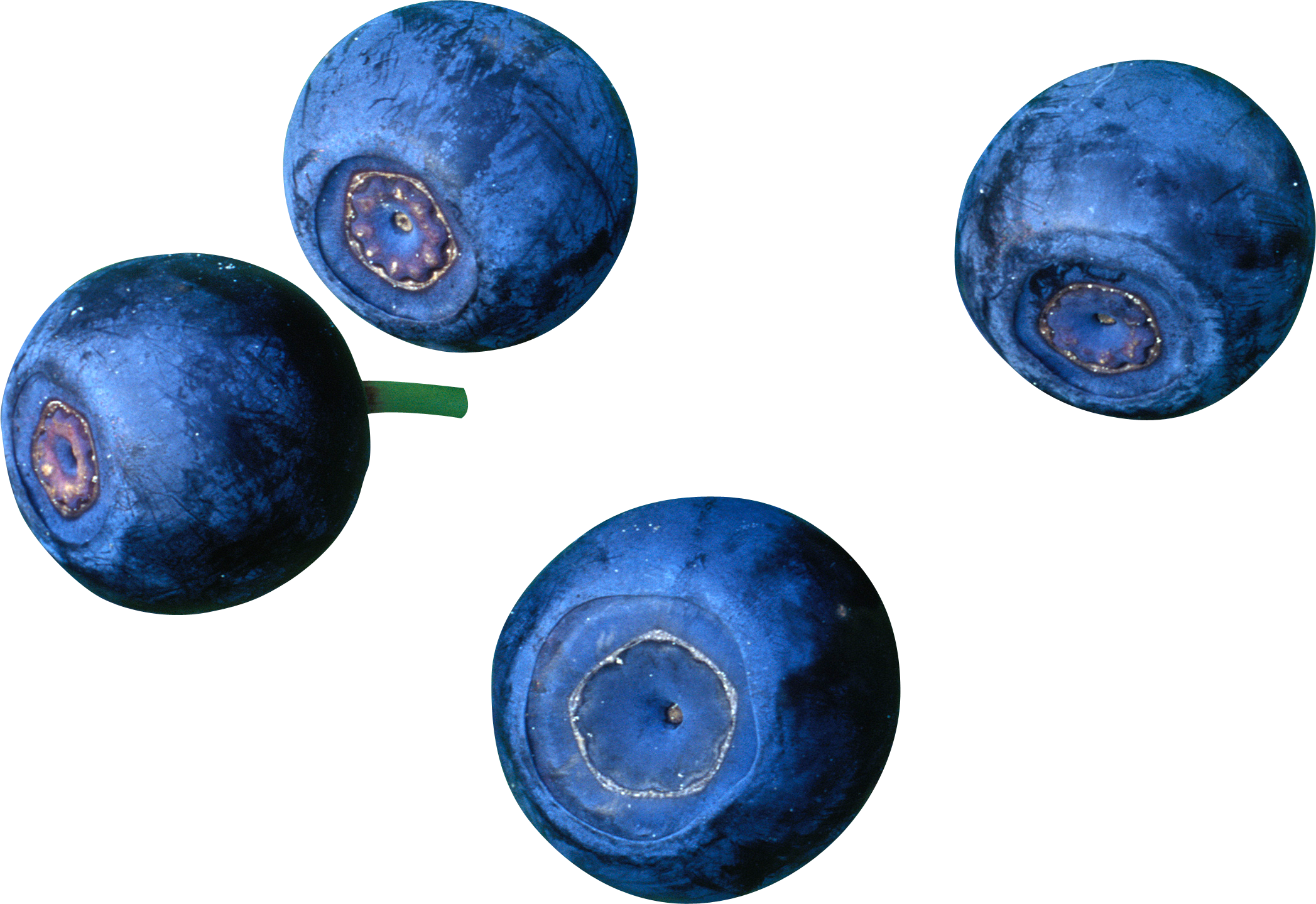 Blueberries PNG Clipart Background