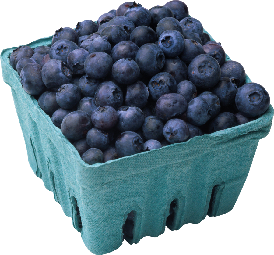 Blueberries PNG Free File Download