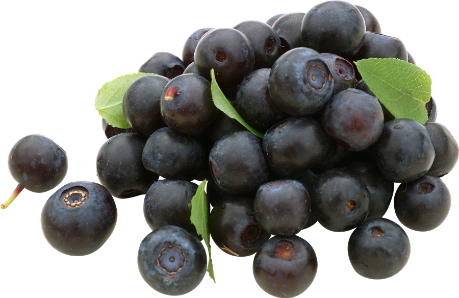 Blueberries PNG HD Quality
