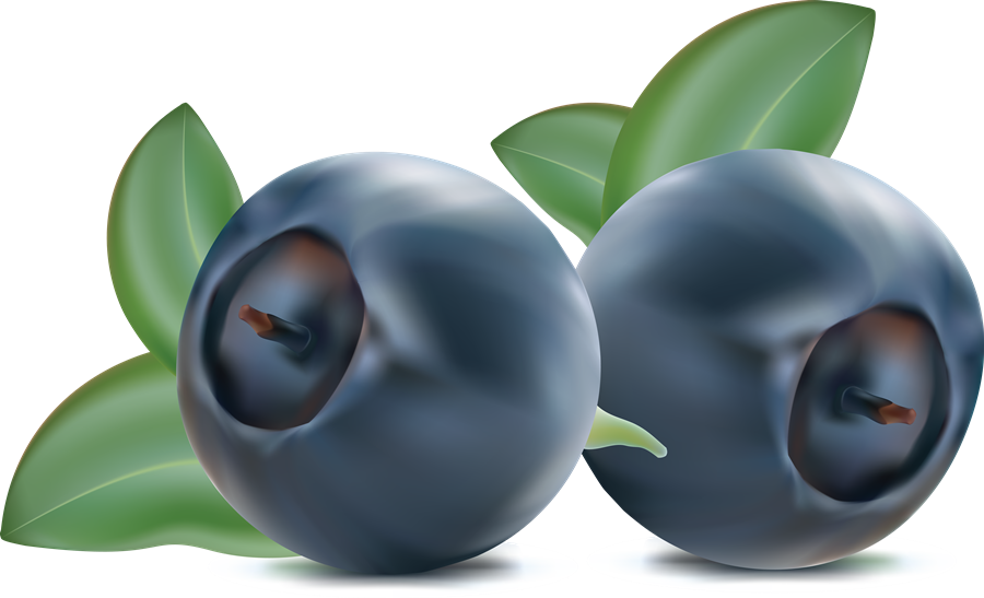 Blueberries PNG Images HD