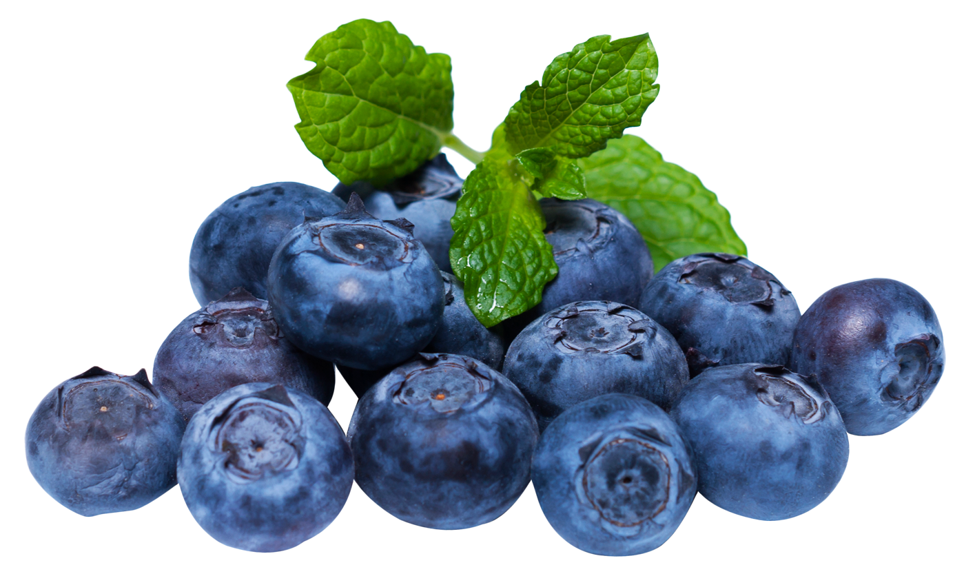 Blueberries PNG Photos