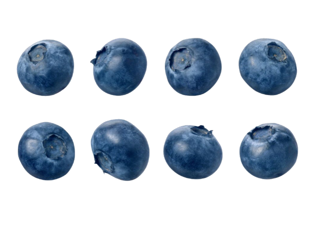 Blueberries Transparent Free PNG
