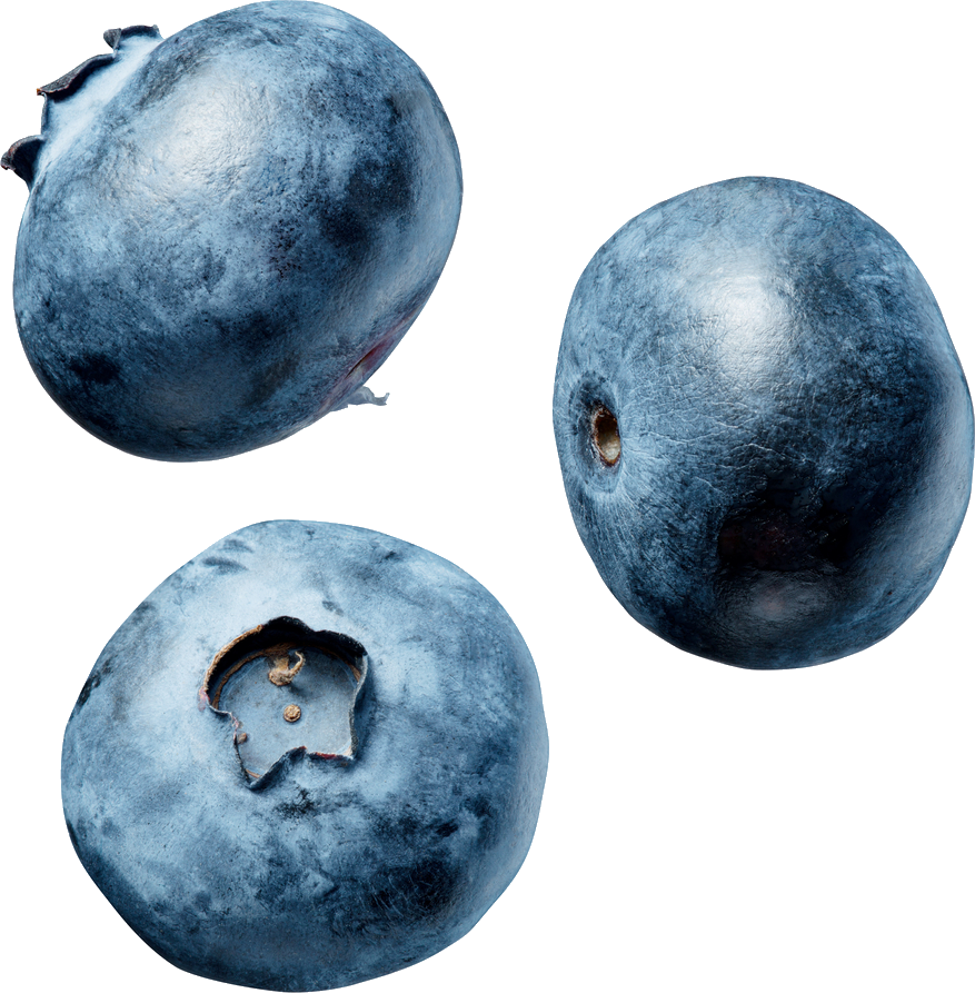 Blueberries Transparent Images