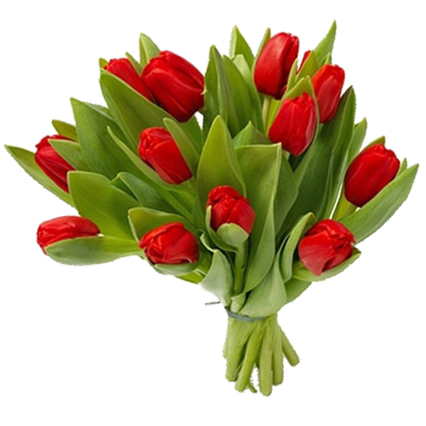 Bouquet of Flowers Background PNG Image