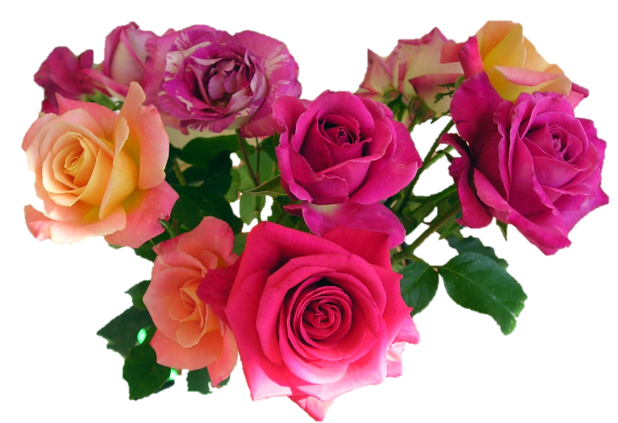 Bouquet of Flowers PNG Photo Image