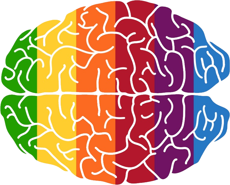 Brain PNG Pic Background
