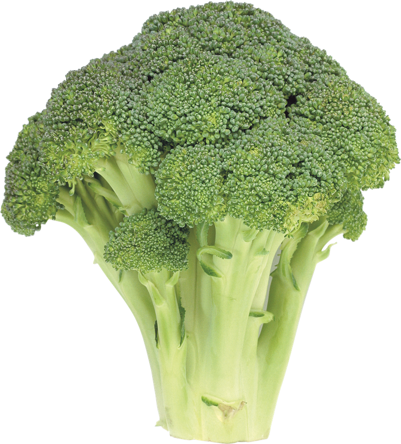 Broccoli Free PNG