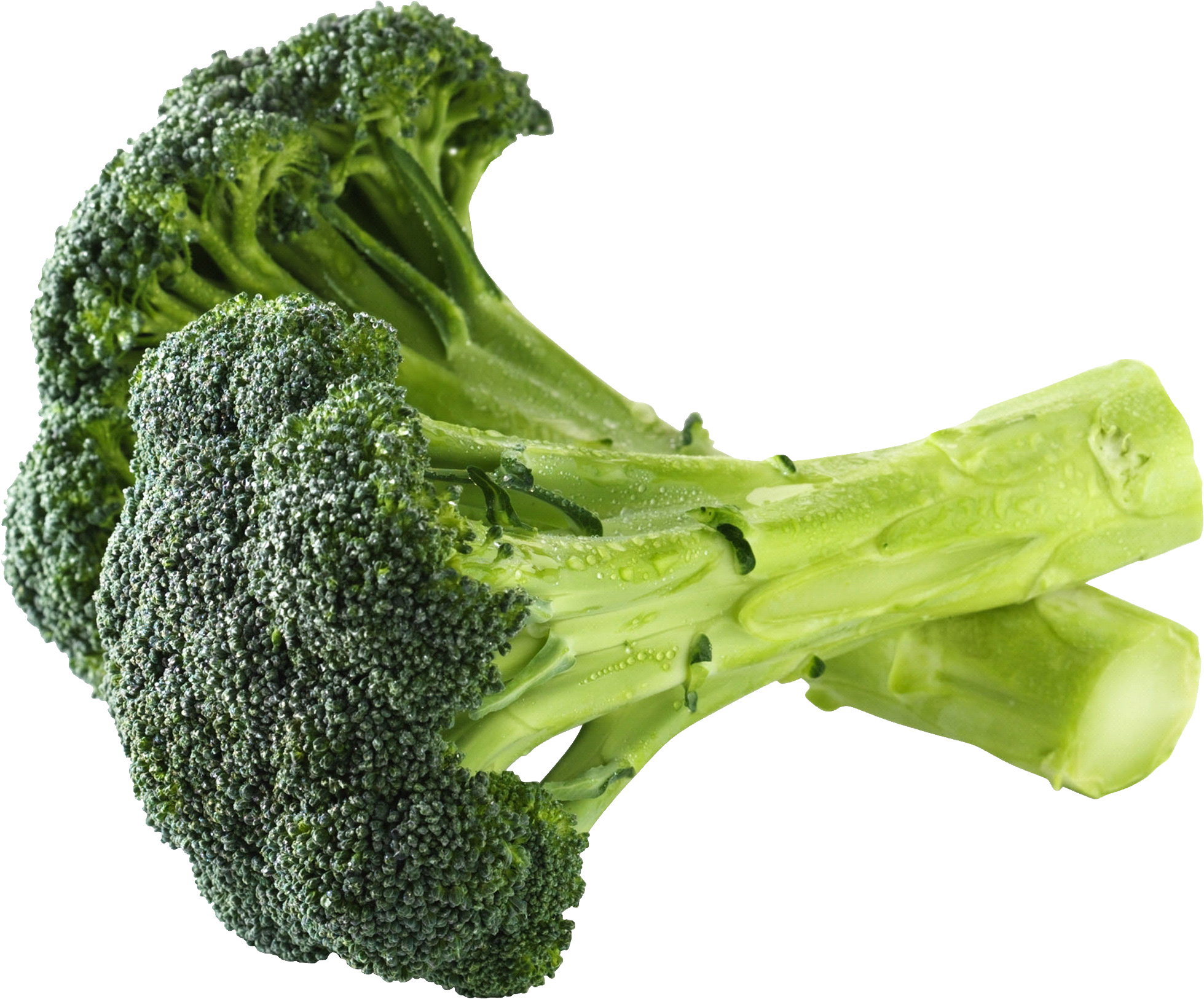 Broccoli PNG Free File Download