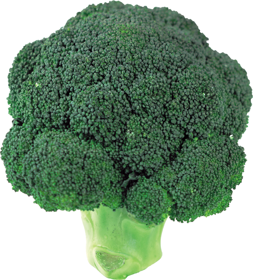 Broccoli PNG HD Quality