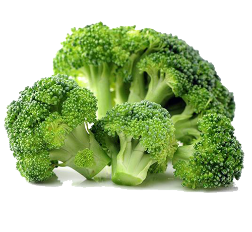 Broccoli PNG Photo Image