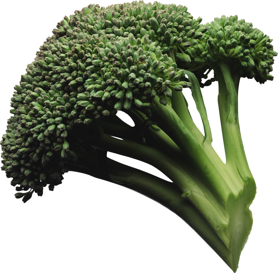 Broccoli Transparent Background