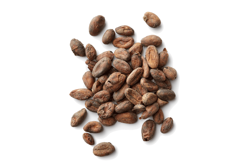 Cacao Download Free PNG